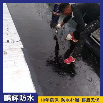 專業(yè)防水補(bǔ)漏施工服務(wù) 價格解析與價值考量